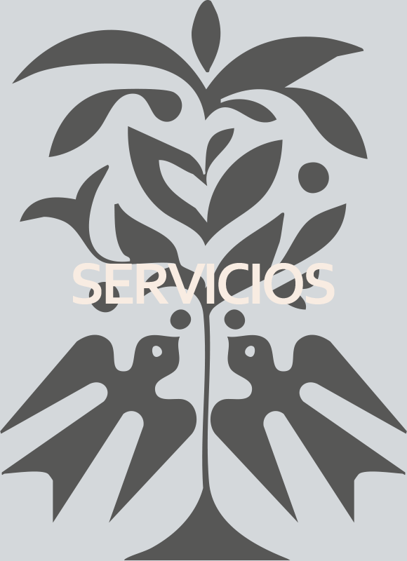 servicios